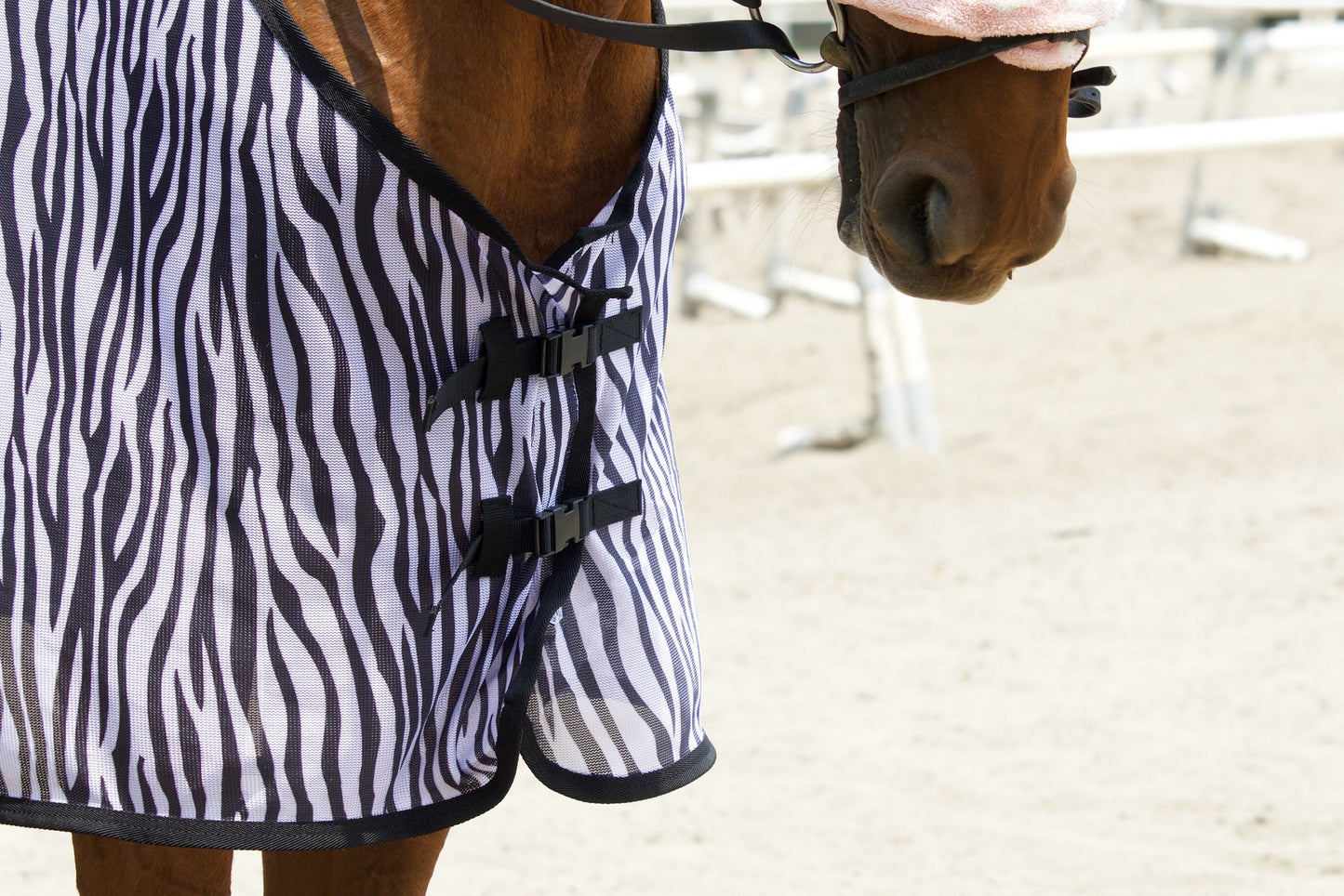 リゲルナイト 乗馬用 虫よけフライシート サイズ145/195, RIGEL KNIGHT Zebra Pattern Fly Riding Sheet with Built-in Insect Protection, Size 145/195