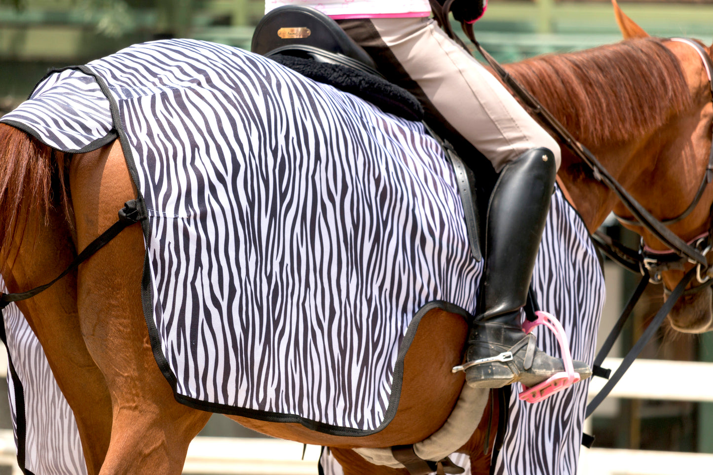 リゲルナイト　乗馬用　虫よけフライシート　サイズ145/195, RIGEL KNIGHT Zebra Pattern Fly Riding Sheet with Built-in Insect Protection, Size 145/195