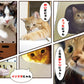 段ボール製猫ハウス とびばこ型 爪とぎ2枚付き 日本製, Cardboard Cat Playhouse Vaulting box-type with scratching board (2 pcs) Made in Japan