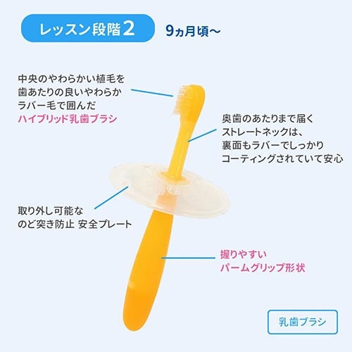 ピジョン 乳歯ブラシ はじめてセット 歯科医共同開発 日本製 Pigeon Baby Toothbrush First Set, Joint-developed with Dentist, Made in Japan