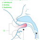 ピジョン SofTouch 哺乳びん用乳首 3Lサイズ 2個入り 15か月頃～ Pigeon SofTouch Nipple 3L size (2 pcs) for 15m+